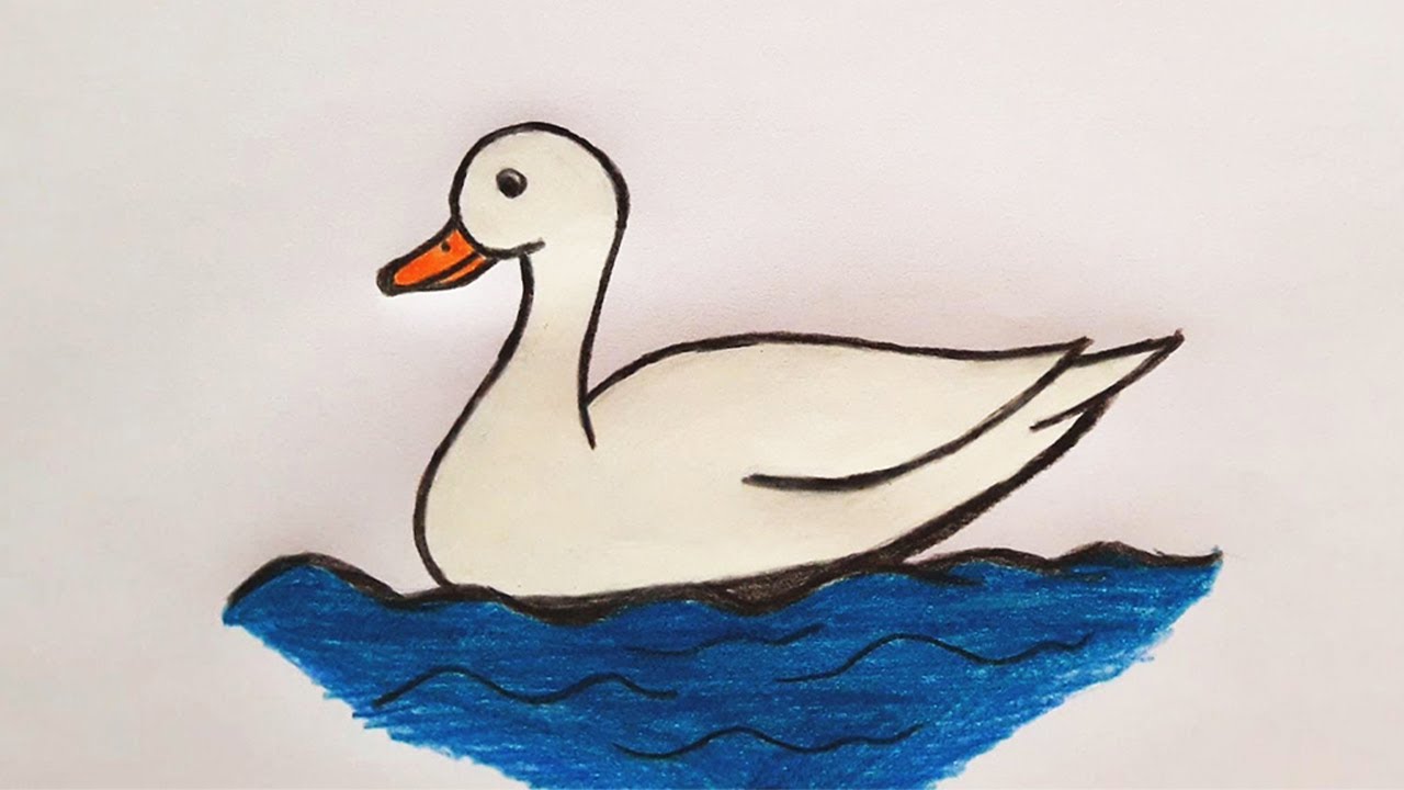Duck Drawing Art