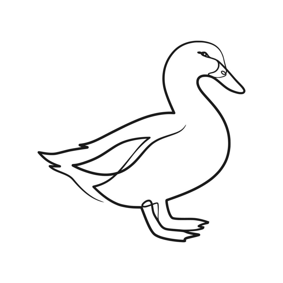 Duck Drawing Fine Art
