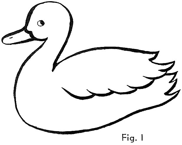 Duck Drawing Hand drawn