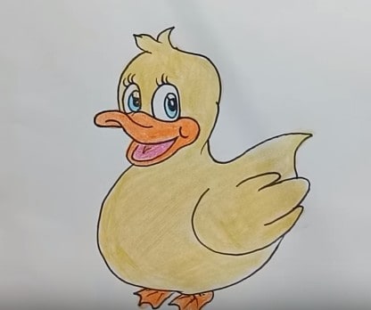 Duck Drawing Stunning Sketch