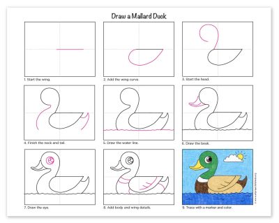 Duck Simple, Quick Guide, Easy Steps, User-Friendly, Streamlined Process Drawing