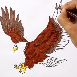 Eagle Drawing Amazing Sketch