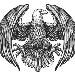 Eagle Drawing Intricate Artwork