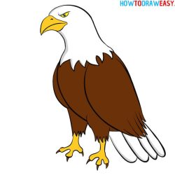 Eagle Drawing Stunning Sketch