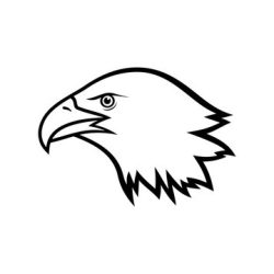 Eagle Head Drawing Art