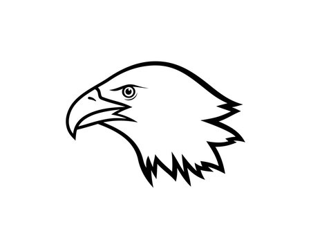 Eagle Head Drawing Art