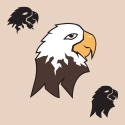 Eagle Head Drawing Detailed Sketch