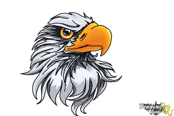 Eagle Head Drawing Intricate Artwork