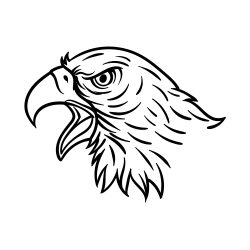 Eagle Head Drawing Modern Sketch