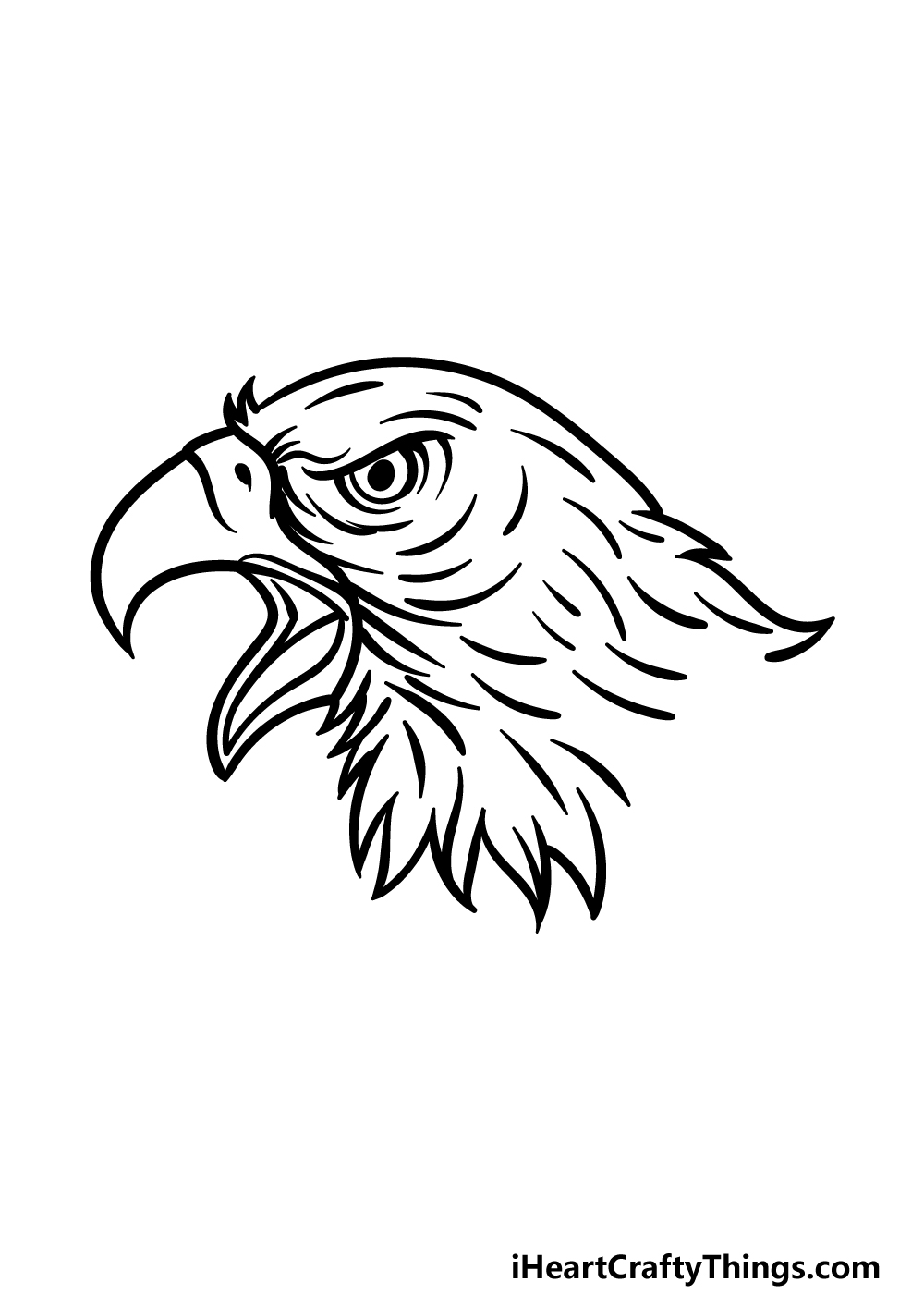 Eagle Head Drawing Modern Sketch