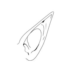 Ear Drawing