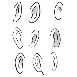 Ear Drawing Art