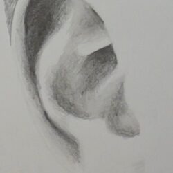 Ear Drawing Artistic Sketching