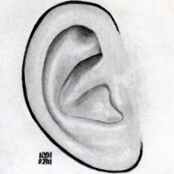 Ear Drawing Creative Style