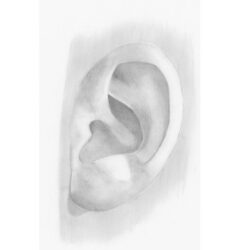 Ear Drawing Hand drawn