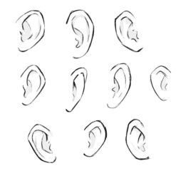 Ear Drawing Intricate Artwork