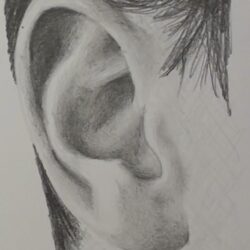 Ear Drawing Photo