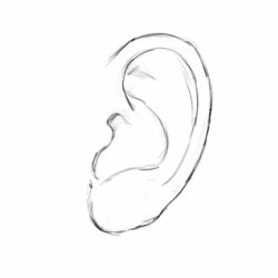 Ear Drawing Picture