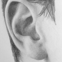 Ear Drawing Realistic Sketch