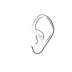 Ear Drawing Sketch