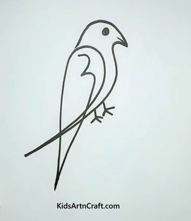 Easy Bird Drawing Hand drawn Sketch