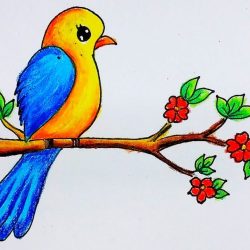 Easy Bird Drawing Intricate Artwork