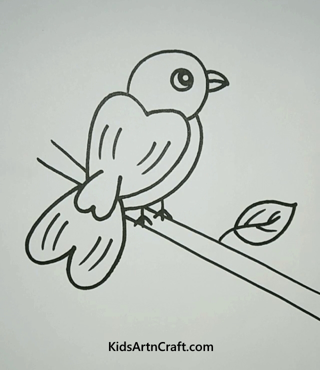 Easy Bird Drawing