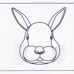 Easy Bunny Drawing Amazing Sketch