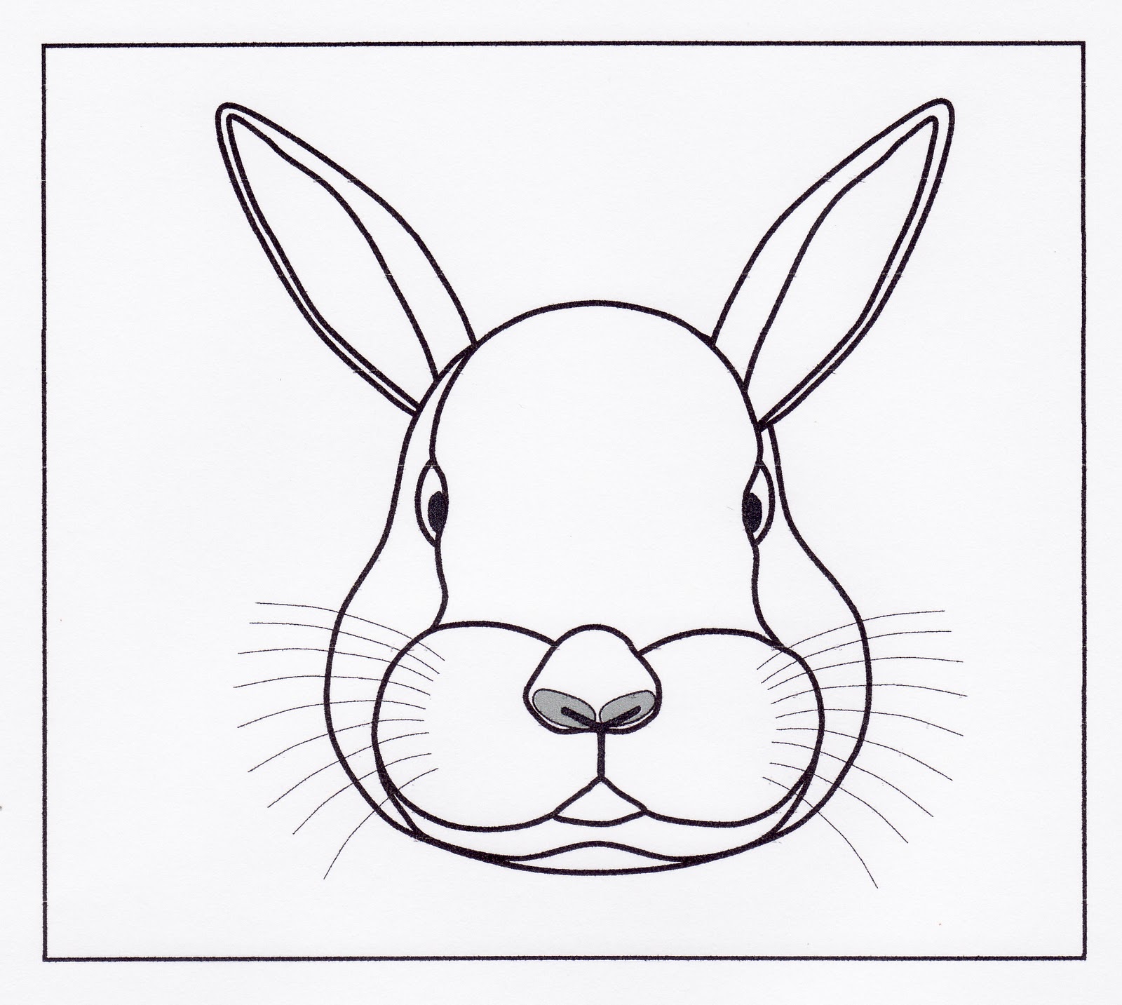 Easy Bunny Drawing Amazing Sketch
