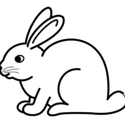 Easy Bunny Drawing Creative Style