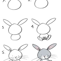 Easy Bunny Drawing Detailed Sketch