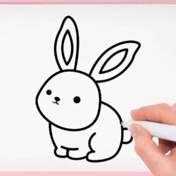 Easy Bunny Drawing Fine Art