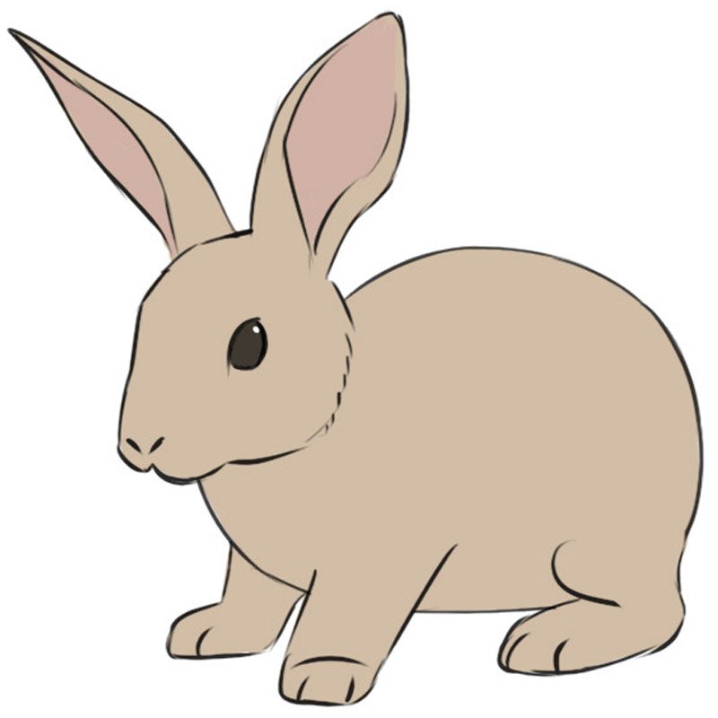 Easy Bunny Drawing Intricate Artwork