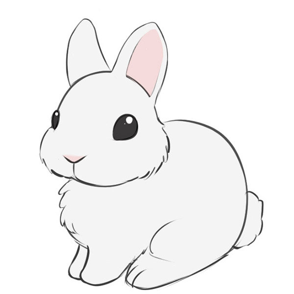 Easy Bunny Drawing Modern Sketch