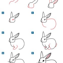 Easy Bunny Drawing Photo