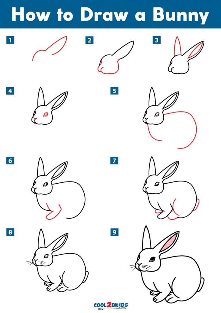 Easy Bunny Drawing Photo