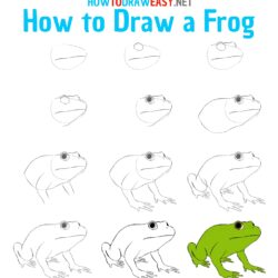 Easy Frog Drawing Creative Style