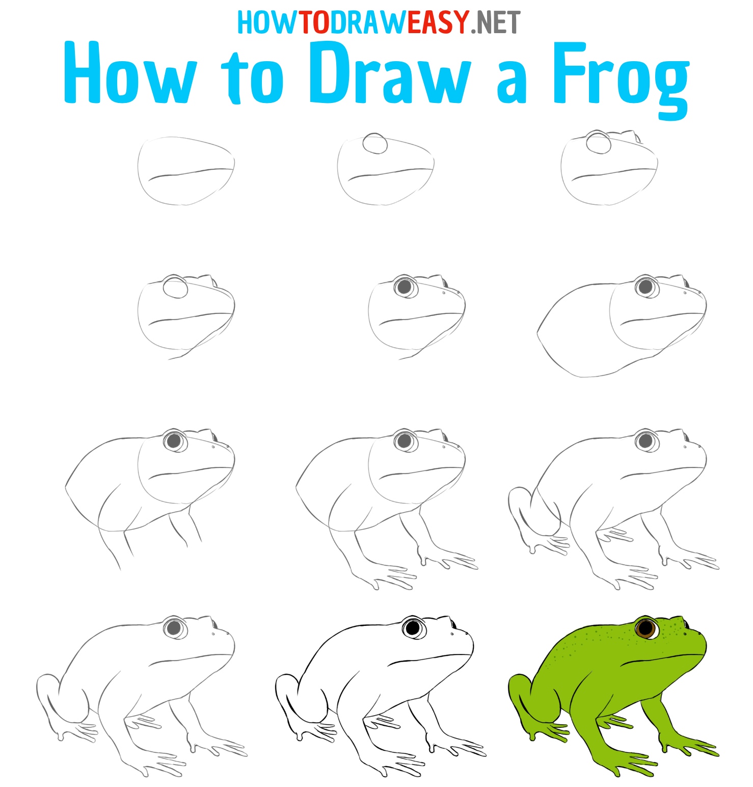Easy Frog Drawing Creative Style