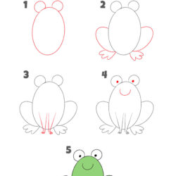 Easy Frog Drawing Detailed Sketch