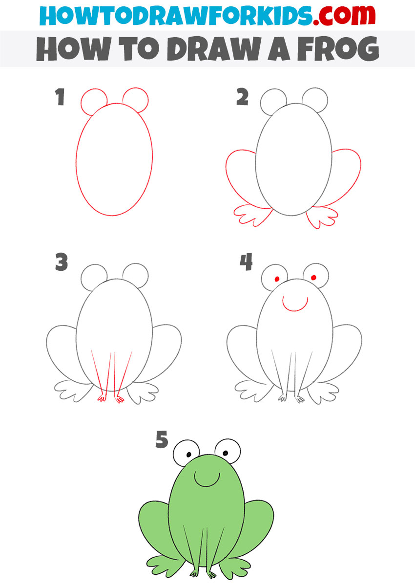 Easy Frog Drawing Detailed Sketch