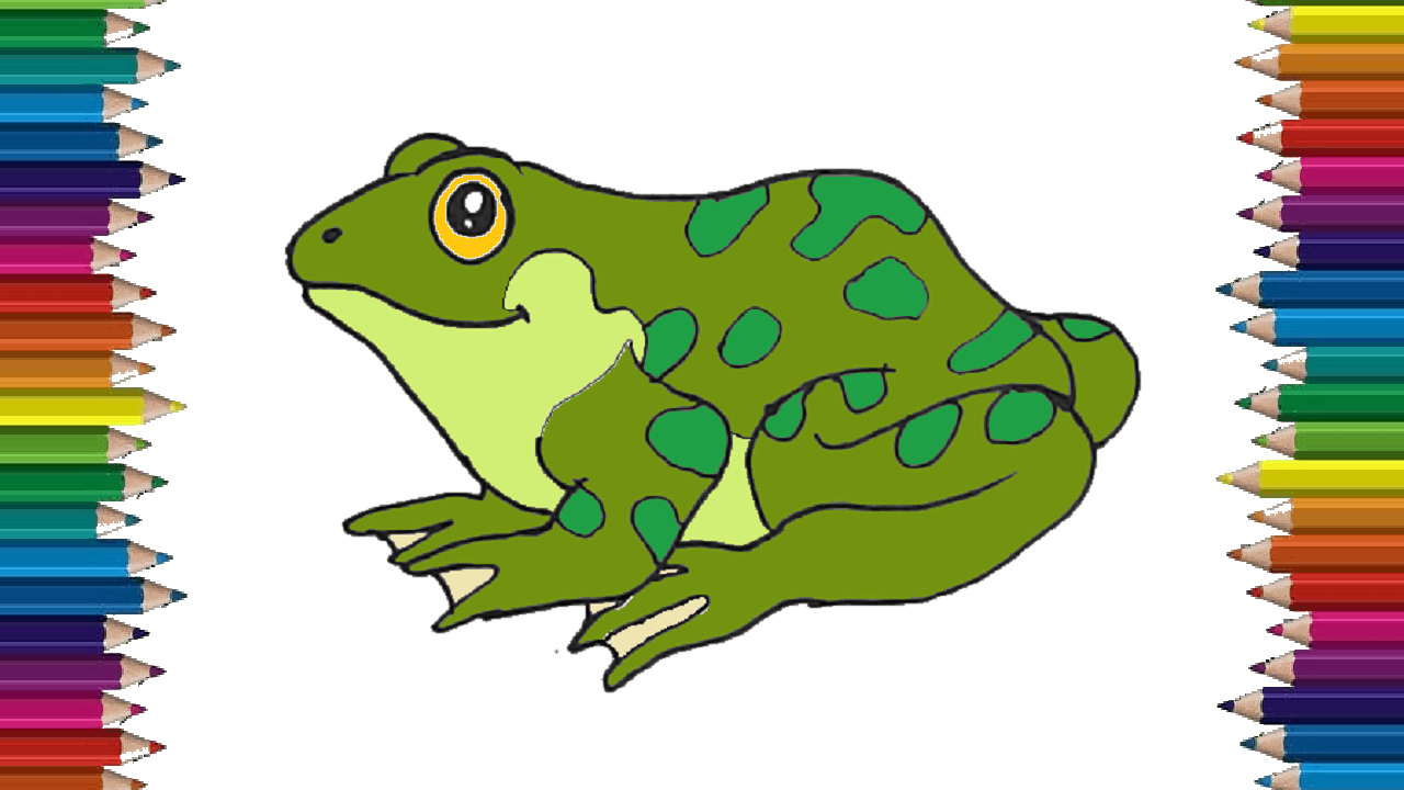 Easy Frog Drawing Hand Drawn Sketch