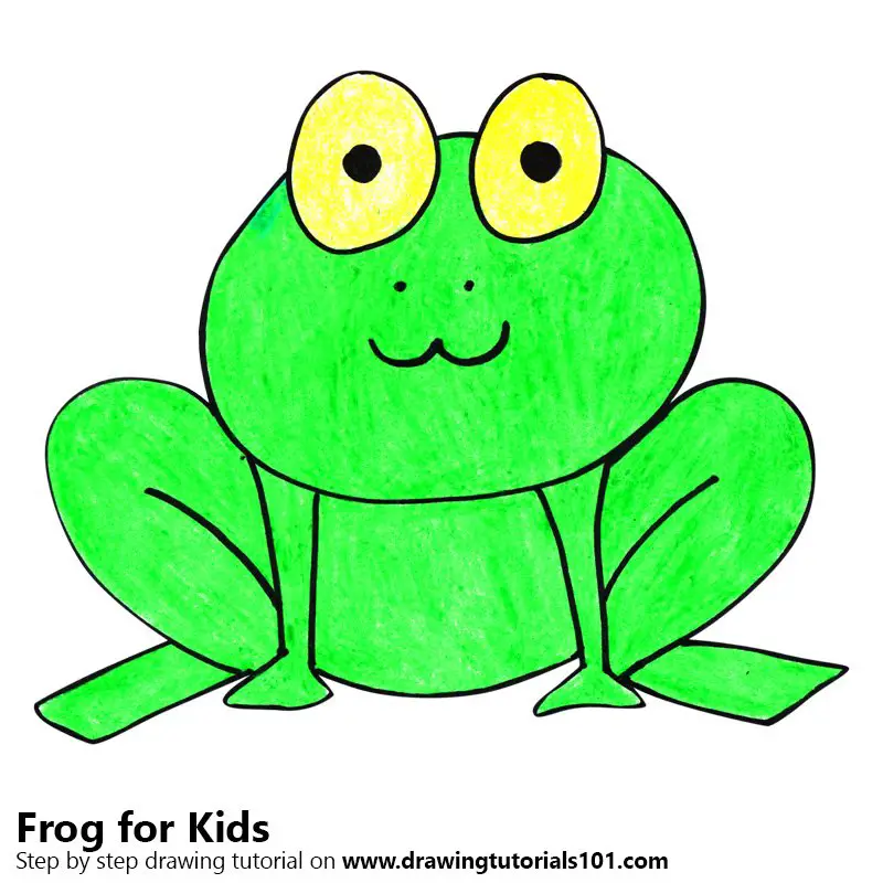 Easy Frog Drawing Photo
