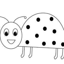 Easy Ladybug Drawing