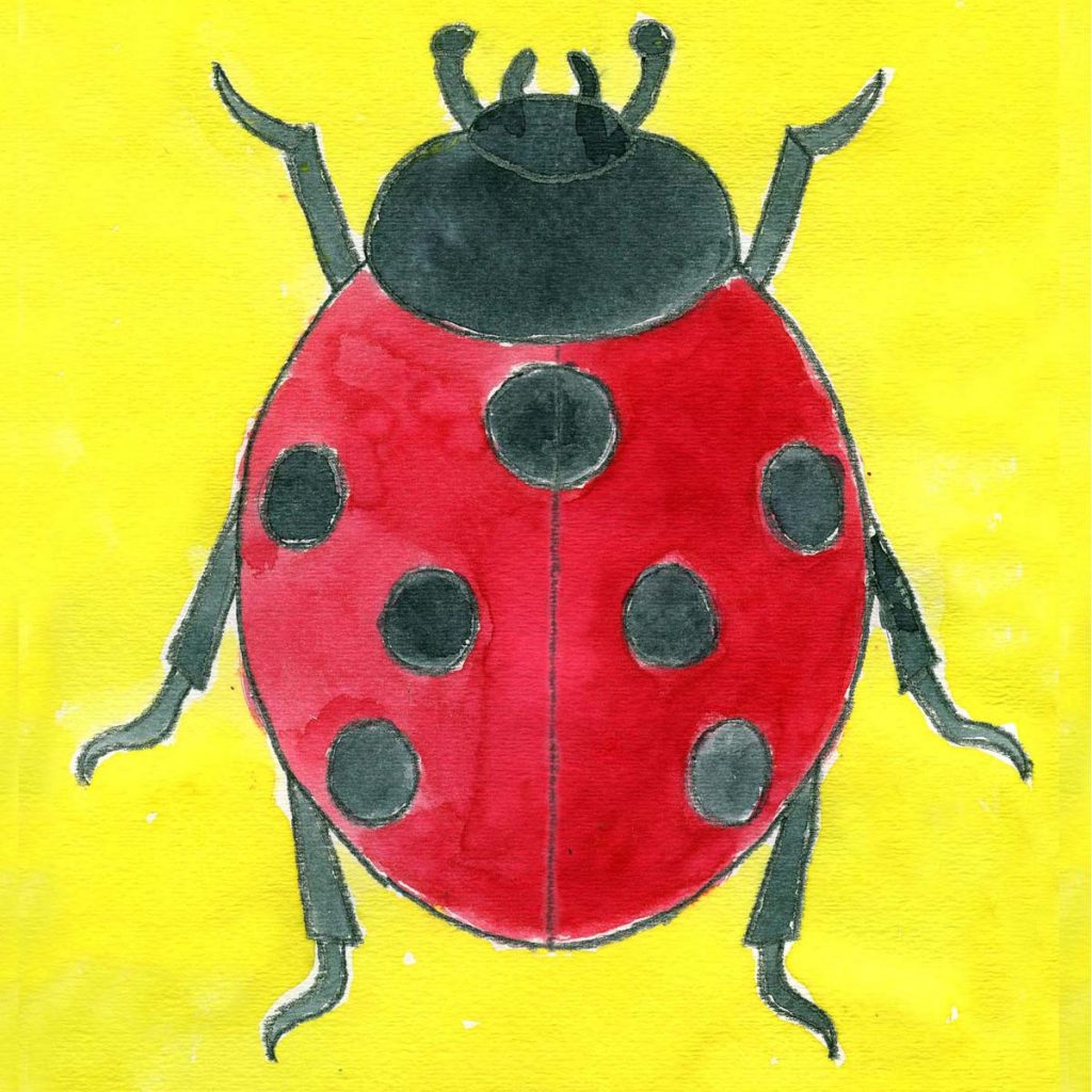 Easy Ladybug Drawing Art