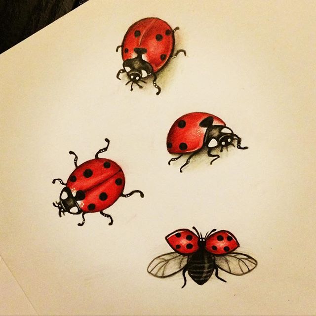 Easy Ladybug Drawing Creative Style