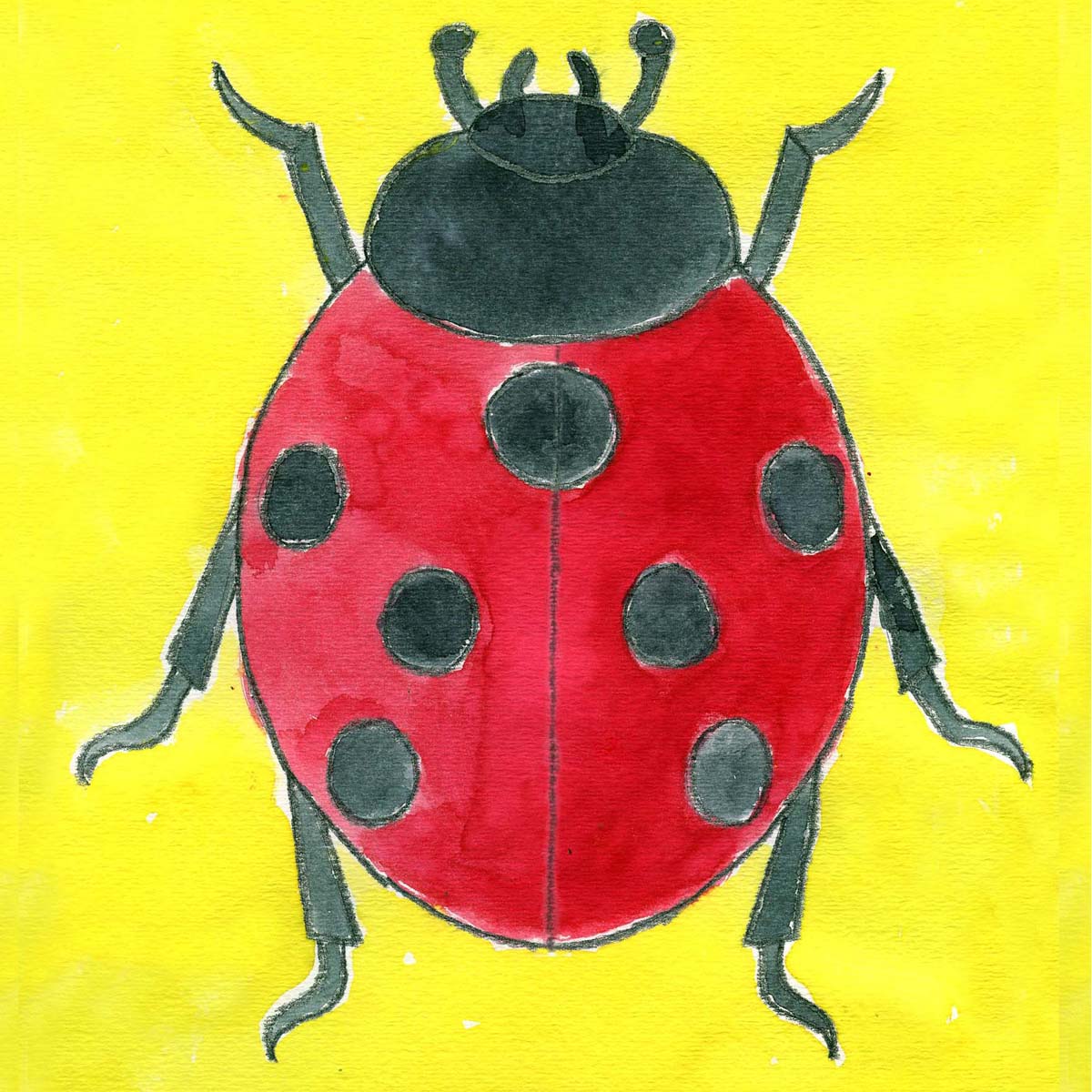 Easy Ladybug Drawing Fine Art