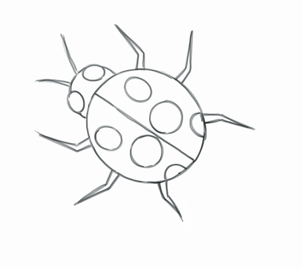Easy Ladybug Drawing Hand Drawn Sketch