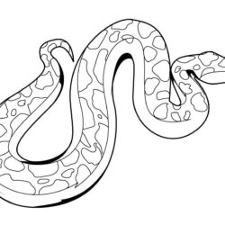 Easy Snake Drawing