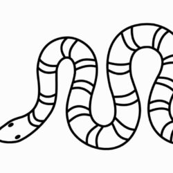 Easy Snake Drawing Amazing Sketch