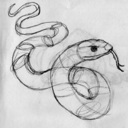 Easy Snake Drawing Artistic Sketching